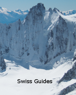 swiss guides,verbier mountain guides